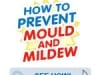 see-how-to-prevent-mould-and-mildew