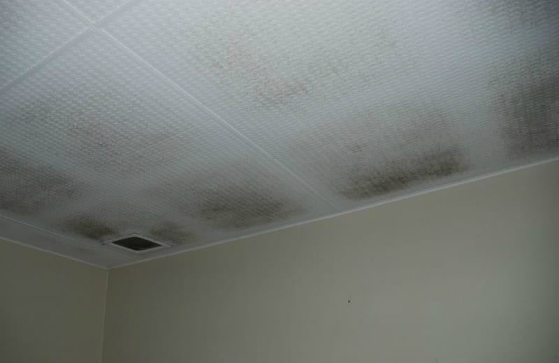 Kill mould with your ventilation system