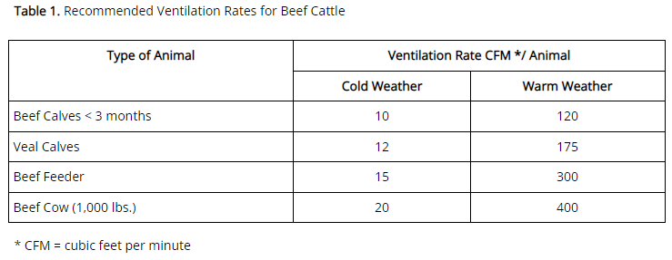 Recommended Ventilation Rates for Beef Cattle