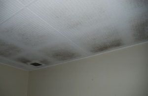 Mould on ceiling from moisture and condensation