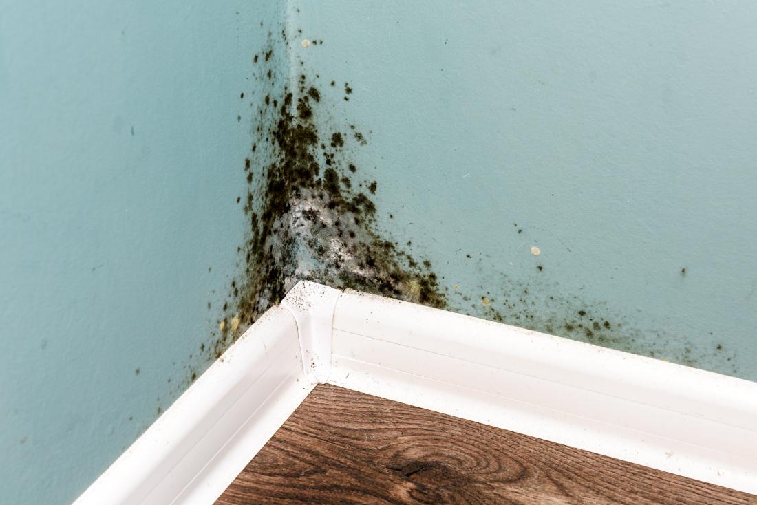 ventilation system help prevent mould in the home