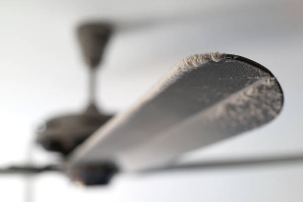 dirty dusty big ass fan